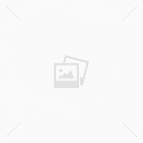 "\u05d4\u05e4\u05dc\u05d8\u05d4 \u05e9\u05dc\u05d9"